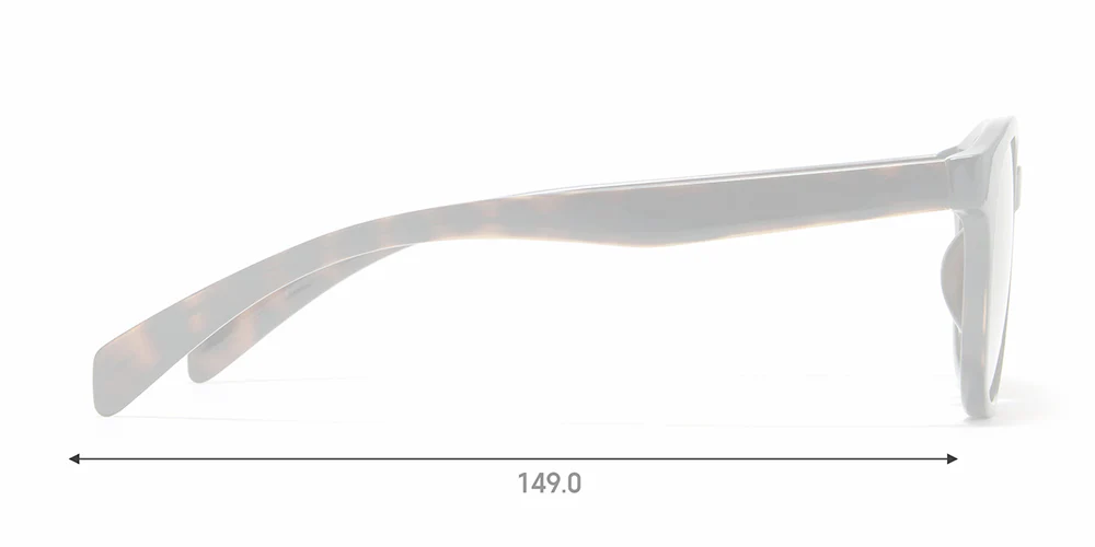 SG STANDARD 066 186