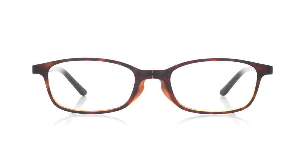 Reading Foldable U009 86